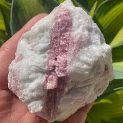 Pink Tourmaline in Quartz