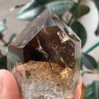 Smoky Quartz Polished Point
