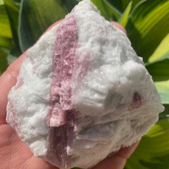 A rough Pink Tourmaline in Quartz crystal held in a person's hand, with a blurred background of greenery.