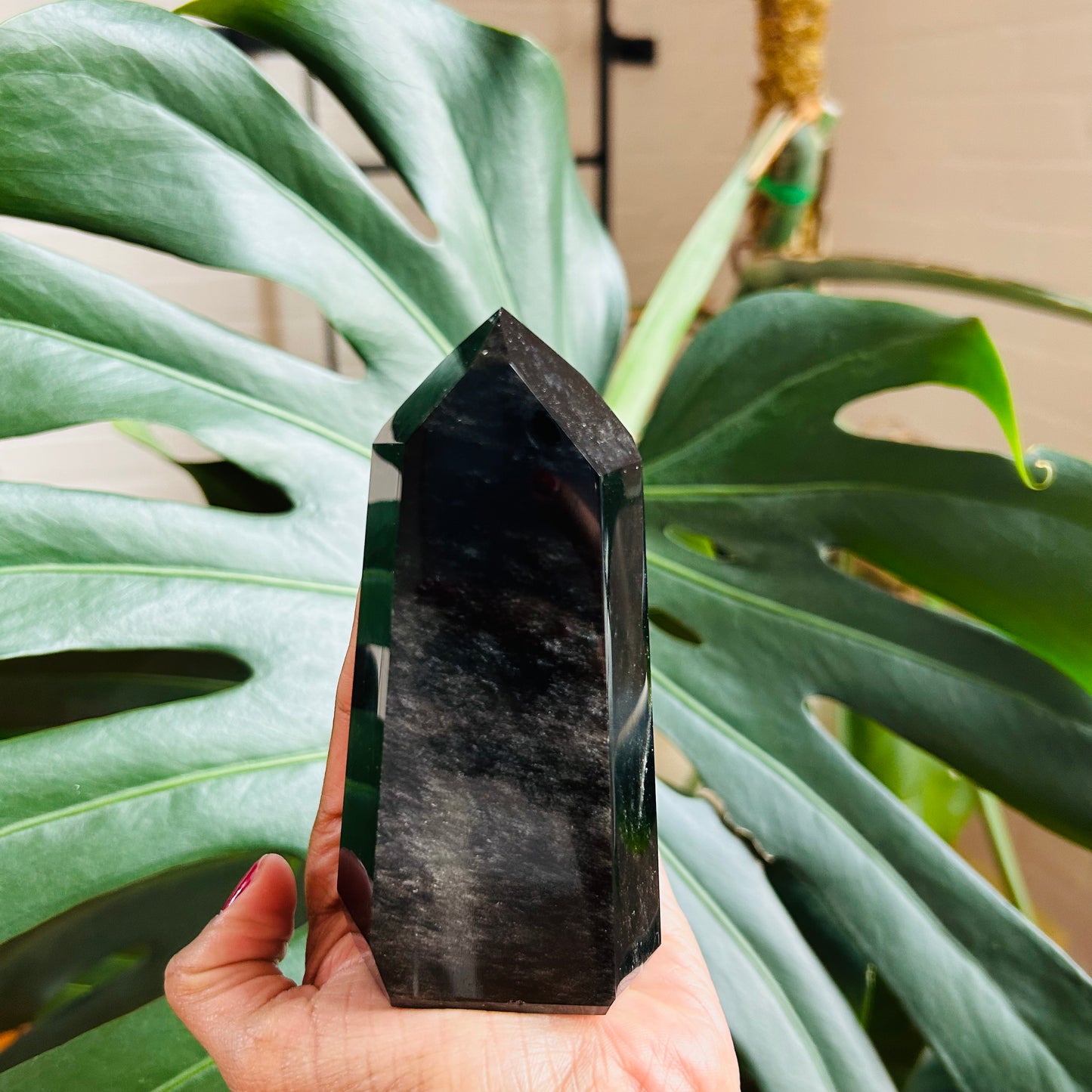 Black Obsidian Polished Points