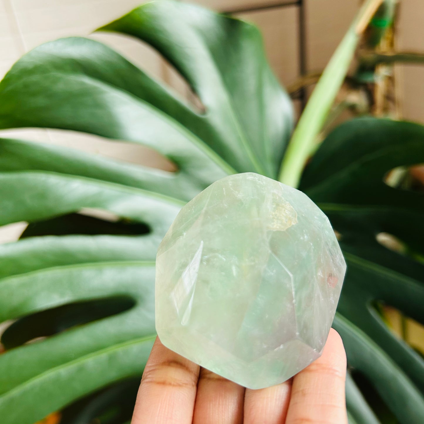 Fluorite Polished Freeform